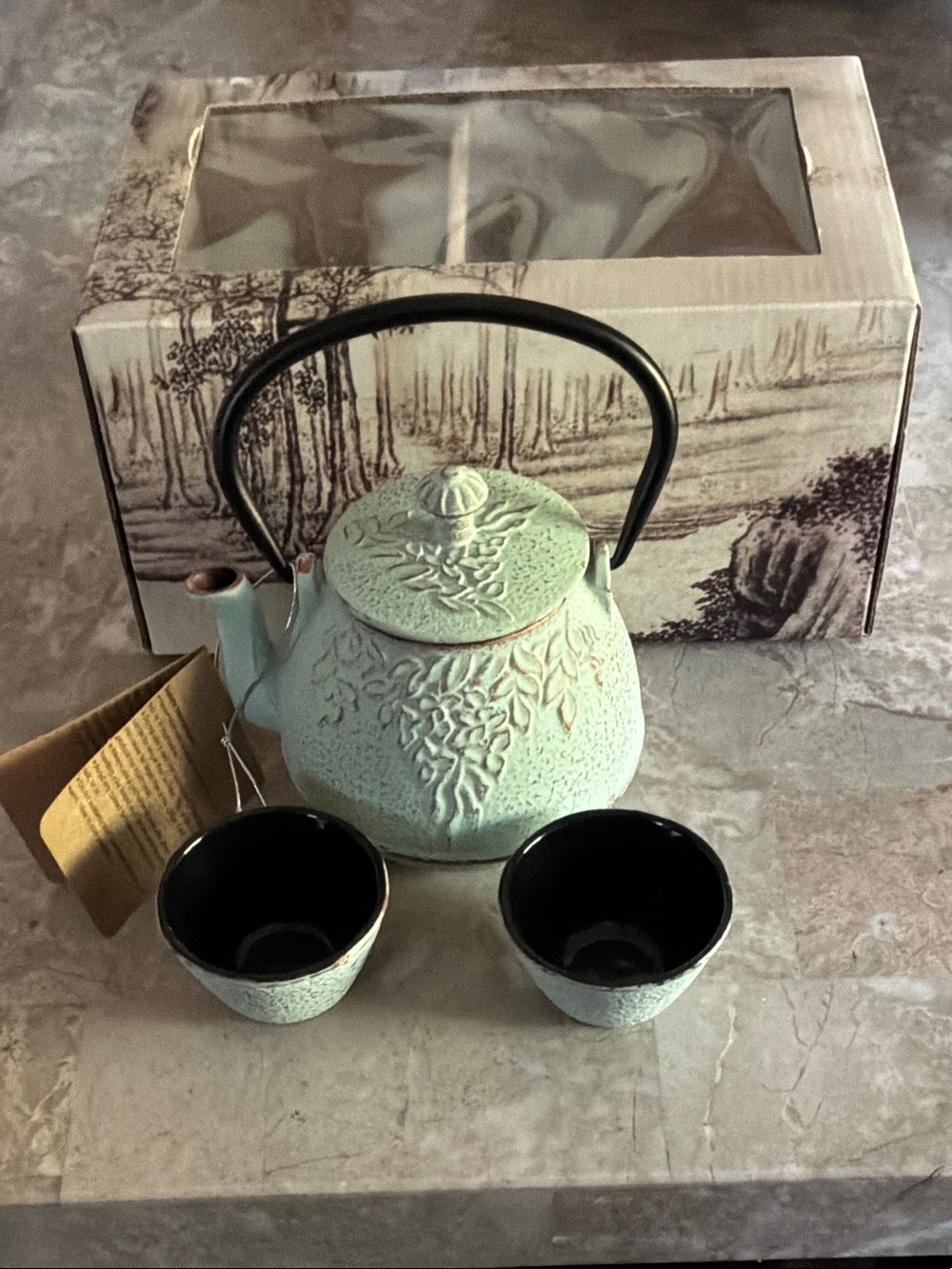 Ceramic Cast Iron Teapot Set in Light Mint Green